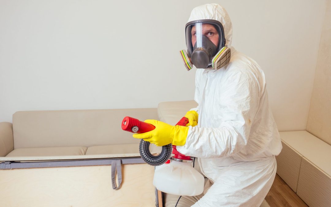 Why Year-Round Pest Control Service is Vital for Business Protection